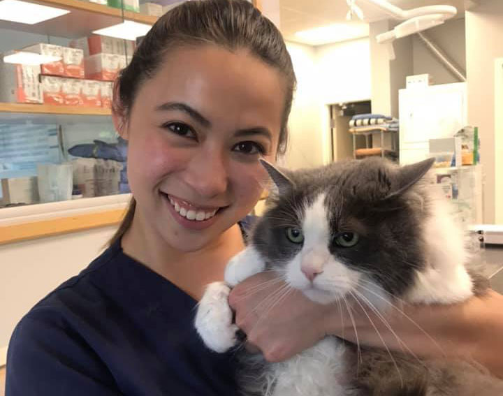 Cat Veterinary Care, Salem